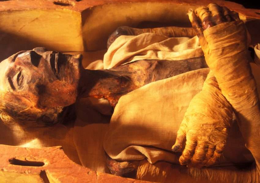 ancient Egyptian mummies