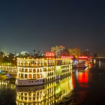 Gallery Thumbnail 11