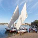 Gallery Thumbnail 10