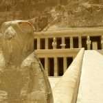 Gallery Thumbnail 11