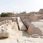 Gallery Thumbnail 14