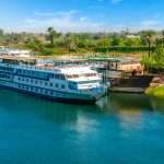 Gallery Thumbnail 12