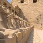 Gallery Thumbnail 14