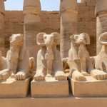 Gallery Thumbnail 19