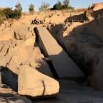 Gallery Thumbnail 10