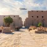 Gallery Thumbnail 13