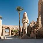 Gallery Thumbnail 12