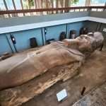 Gallery Thumbnail 26