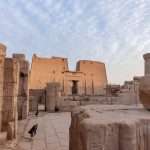 Gallery Thumbnail 11