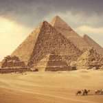 Gallery Thumbnail 34