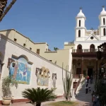 Gallery Thumbnail 12