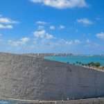 Gallery Thumbnail 16