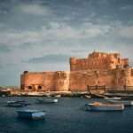 Gallery Thumbnail 11