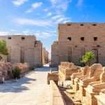 Gallery Thumbnail 22