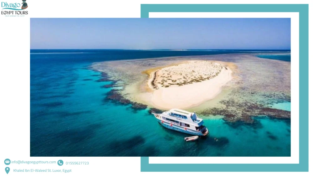 excursions marsa alam