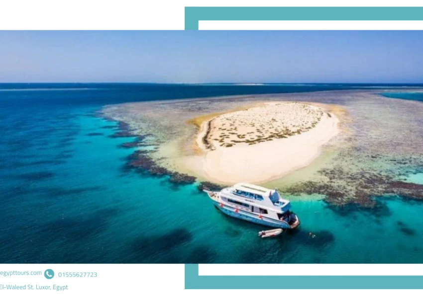excursions marsa alam