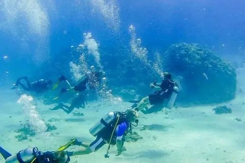 excursions marsa alam